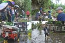 Banjir di 3 Lokasi di Denpasar